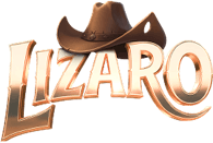 Lizaro logo